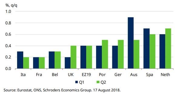 schrooders grafico crescita