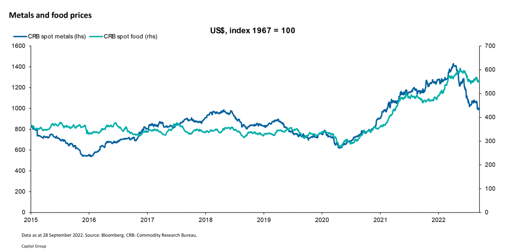 Metal and Food prices